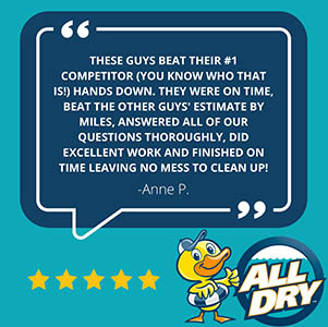 Best Water Flood Storm Disaster Help Mold Remediation Restoration Repairs Florida Gulf Coast