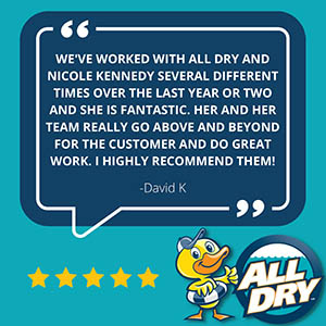 Best Water Flood Storm Disaster Help Mold Remediation Restoration Repairs Florida Gulf Coast