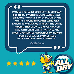 Best Water Flood Storm Disaster Help Mold Remediation Restoration Repairs Florida Gulf Coast